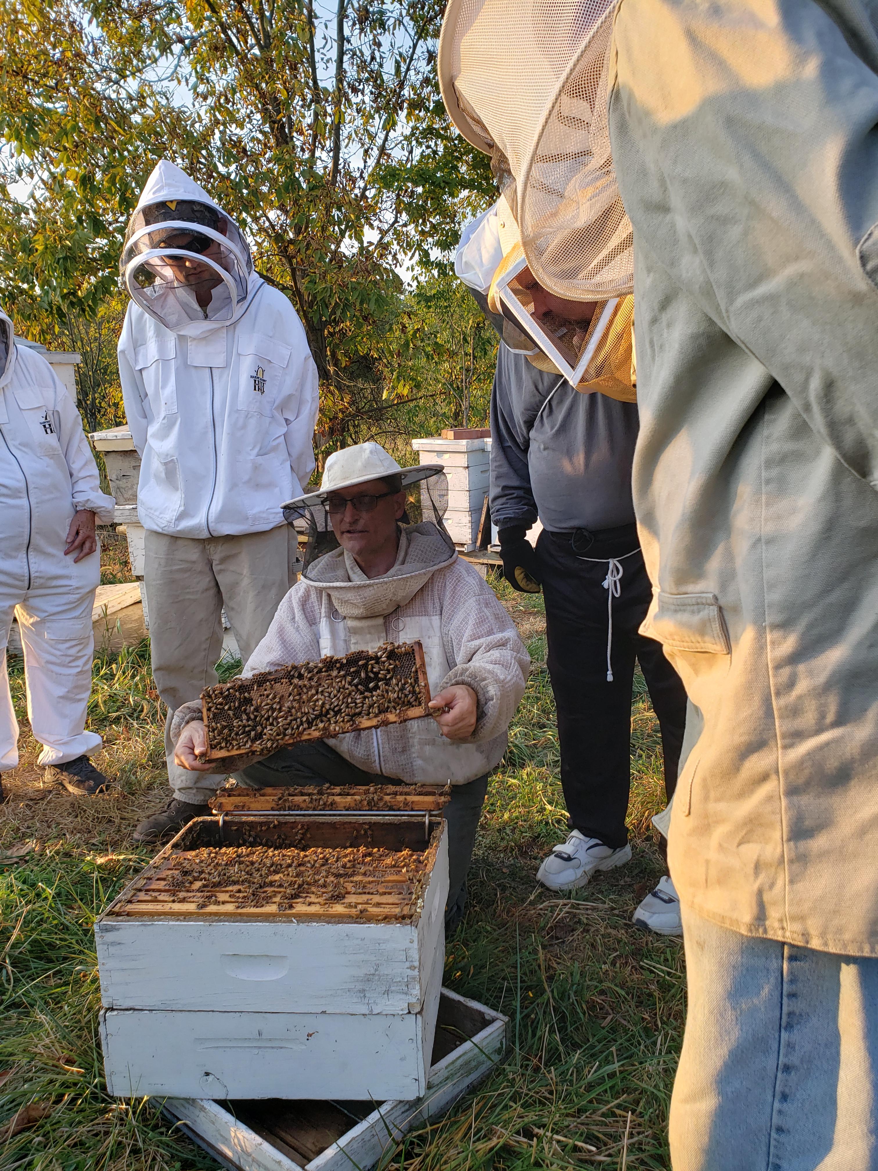 Fall 2019 ACM Bee Class