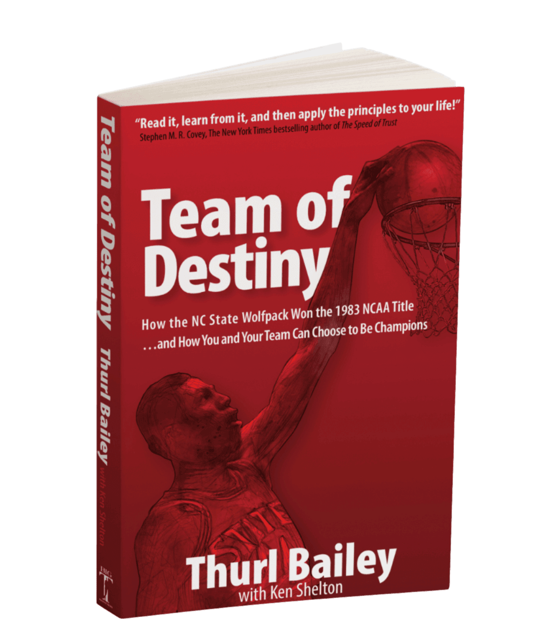 Team of Destiny Book