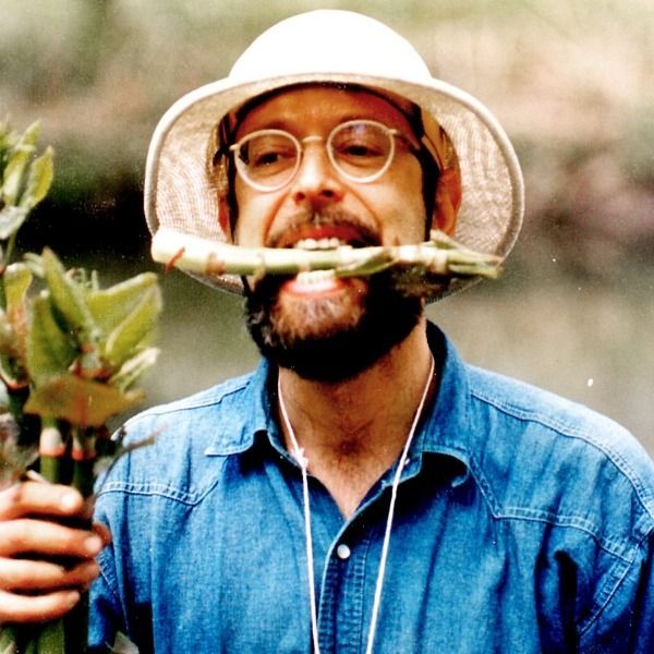 Wildman: Steve Brill