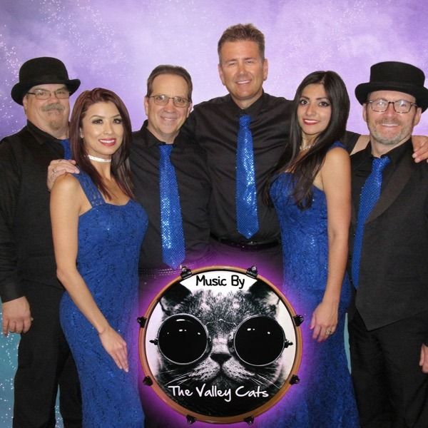 Valley Cats Band