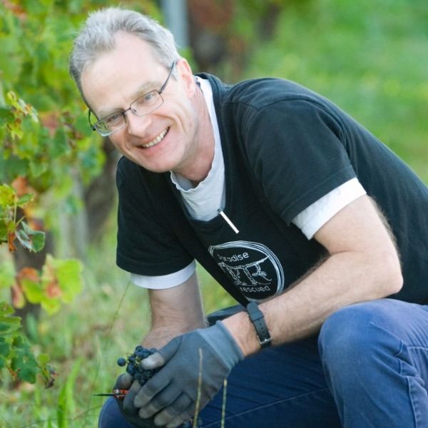 David Stannard