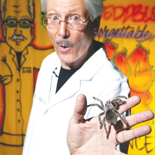 Dr. Insecta