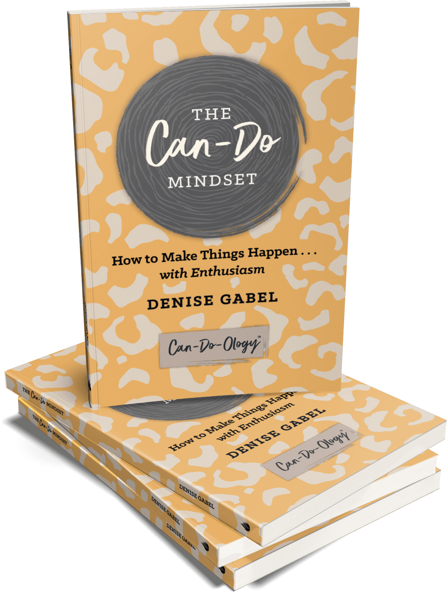 The Can-Do Mindset: How to Make Things Happen . . . with Enthusiasm