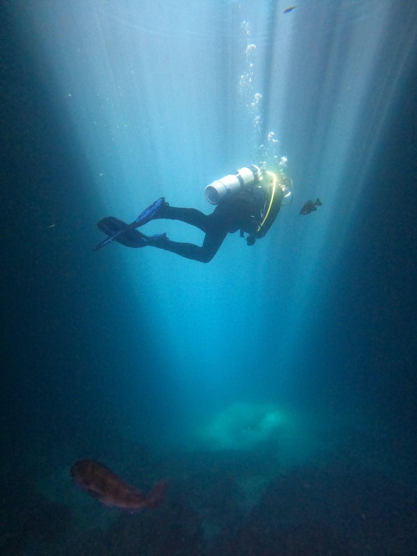 Scuba Diving