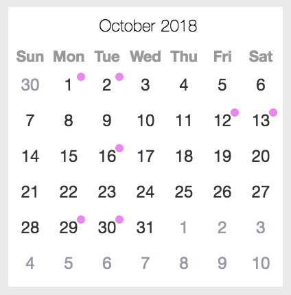 daily calendar view